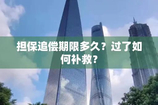 深圳担保追偿期限多久?过了如何补救?